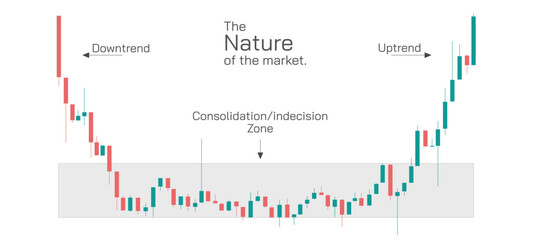 Stock market Investing and trading strategies infographics vector illustration. From beginner to expert level information.