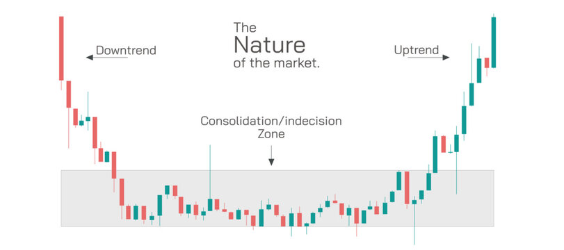 Stock market Investing and trading strategies infographics vector illustration. From beginner to expert level information.
