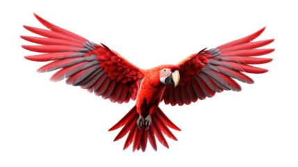 Scarlet macaw parrot flying isolated on transparent background.