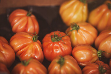 red tomatoes full of vitamins and are perfect and soft from inside. Boxe of tomatoes type called Beef or Beerfsteak tomato. red tomatoes sort Albenga Ingrid or 