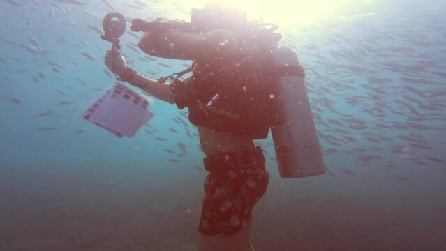 Camera, fish in ocean and scuba diving in coral reef in Raja Ampat with biodiversity, ecology and tropical environment. Blue sea, underwater research and photography study on adventure in Indonesia.