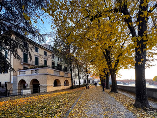Fototapeta premium View of the embankment of River Adige during sunset in autumn. Selective focus