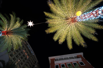 Palm trees decorated for Christmas in downtown Coral Gables Florida