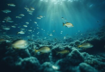 Underwater - blue shining in deep of the sea