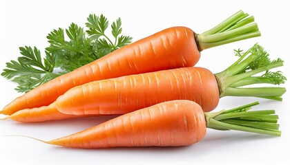 The lush green carrot greens enhance the allure of fresh orange carrots.