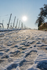 Footprints in snow. A lot of footprints in the snow on the background of the rising sun.