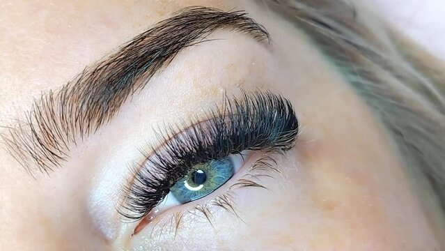 close up of eyelash extensions in beauty salon macro eye ,2d volume 3d volume,russian volume, classical style, remover,patches,lash technician,beautician,lashmaker,cat eye