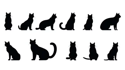 Foto op Plexiglas set of cat illustration © Amena