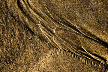 Sand Texture Abstract, Agate Beach, Oregon