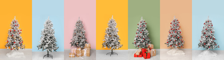 Collage of beautiful Christmas trees and gifts near color wall