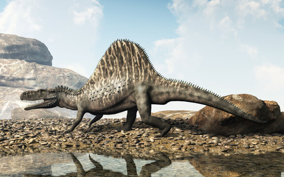 Arizonasaurus, a genus of extinct reptile, known for having sail made of tall neural spines, was a ctenosauriscid archosaur that lived during the Middle Triassic period. 3D Rendering.