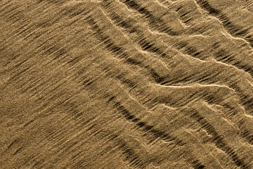 Windblown laminar sand over older ripple marks, Agate Beach, Oregon