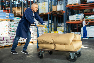 Elderly male loader in uniform with cargo cart loaded with bags in warehouse