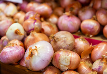 Bunch of bulbs lie on counter in vegetable shop