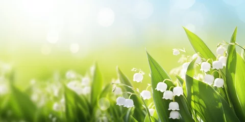 Foto auf Glas Spring flower lily of the valley. Lily of the valley. Ecological background Blooming lily of the valley green grass background in the sunlight. © piai