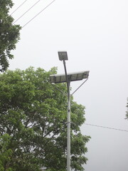 The lampposts on the side of the road are white with trees