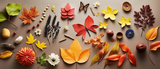 Fall-themed crafts for children using natural items like plants, plasticine, and learning about nature and art for back-to-school.