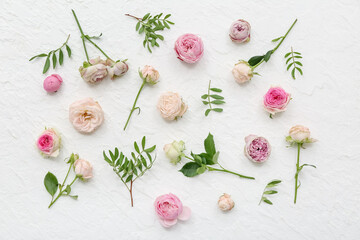 Beautiful pink roses with leaves on white background