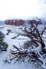 Colorful landscapes at Canyonlands National Park in winter, Moab, Utah
