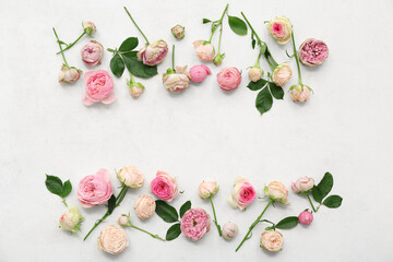 Beautiful pink roses and leaves on white background