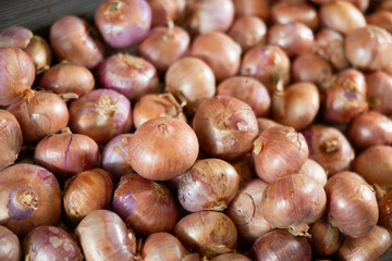 Obraz premium Closeup of fresh purple ripe onion on market counter, onion background