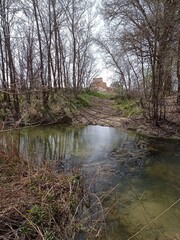 Fototapeta na wymiar Un río con arboles y vegetación a los alrededores con un camino en medio de la imagen que conduce hacia un edificio antiguo.