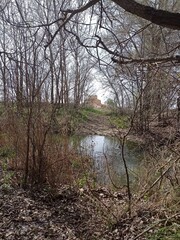 Un río calmado, rodeado con los arboles y sus ramas, con vegetación a los alrededores, con un camino en medio de la imagen que conduce hacia un edificio antiguo.