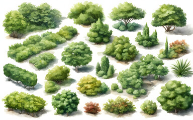 Various green trees, bushes and shrubs, top view for landscape design plan. Watercolor illustration, isolated on white