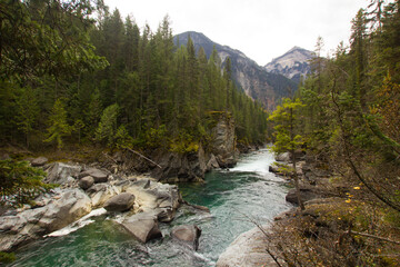 Blue and green Fraser River in British Columbia (Canada) - obrazy, fototapety, plakaty