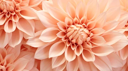 Wall murals Pantone 2024 Peach Fuzz A close up of a bunch of pink flowers, peach fuzz, color of the year 2024, monochromatic image