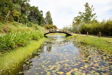 River with wooden bridge and aquatic plant in Campos do Jordão