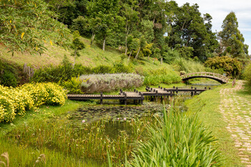River with wooden bridge and aquatic plant in Campos do Jordão