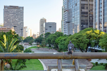 View of the Anhangabau Valley in the city of São Paulo, Brazil. square in the city center