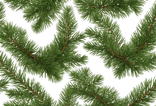 Seamless pattern of Christmas garland from green pine twigs isolated on transparent background