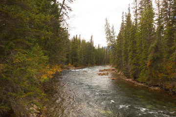 Maligne river on a sunny day in fall