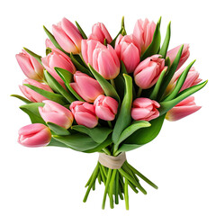 Fresh pink tulip bouquet, transparent background.