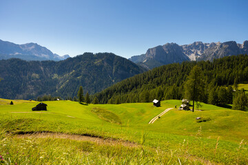 Breathtaking view of green alpine meadows and forests on slopes of Dolomites with impressive rocky...