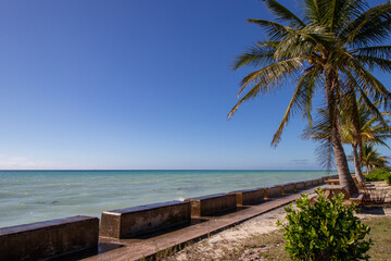 Fototapeta na wymiar Palm trees along a breakwall at an ocean park
