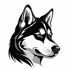 Siberian Husky in cartoon, doodle style. Isolated 2d vector illustration in logo, icon, sketch style, Eps 10. AI Generative