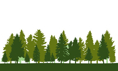 Fototapeta premium Evergreen Tree Skyline No Background