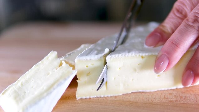 Various fresh dairy products, milk, sour cream, cottage cheese, yogurt and butter on a light stone countertop. High quality photo
