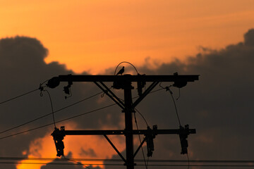 Silhouette of electric pole with beautiful sunset sky background. Selective focus.