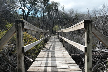 Bridge at Reynolds Creek Campground in Waco Texas