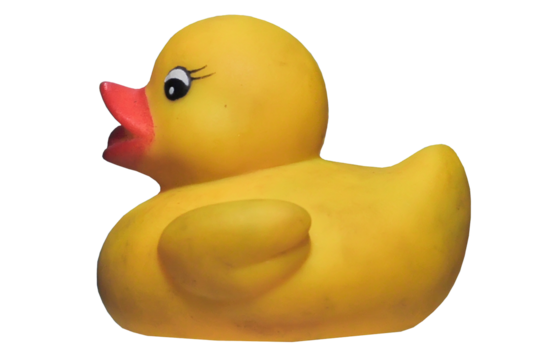 Toy duck. transparent background