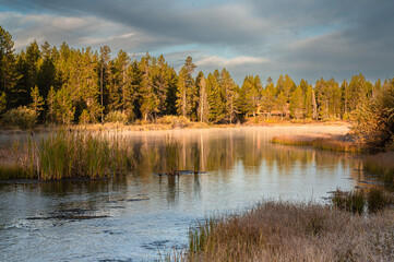 Scenic view of the red sandstone formations and trees at Bryce Point, Utah.