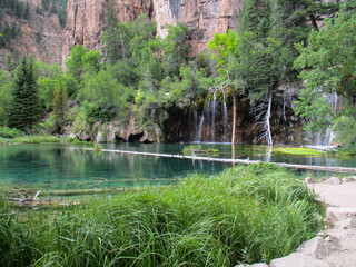 lake in the forest