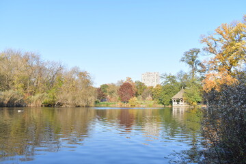 Obraz premium autumn landscape with lake and trees