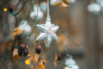 Christmas street decor .Metallic stars, shining garlands on tree branches on winter city streets. Soft focus.Christmas season in Europe. Winter holiday decor