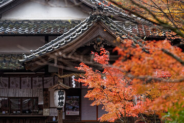 紅葉に彩られた社務所