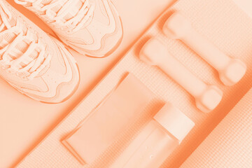 Sneakers and sports accessories trending color of year 2024 Peach Fuzz.